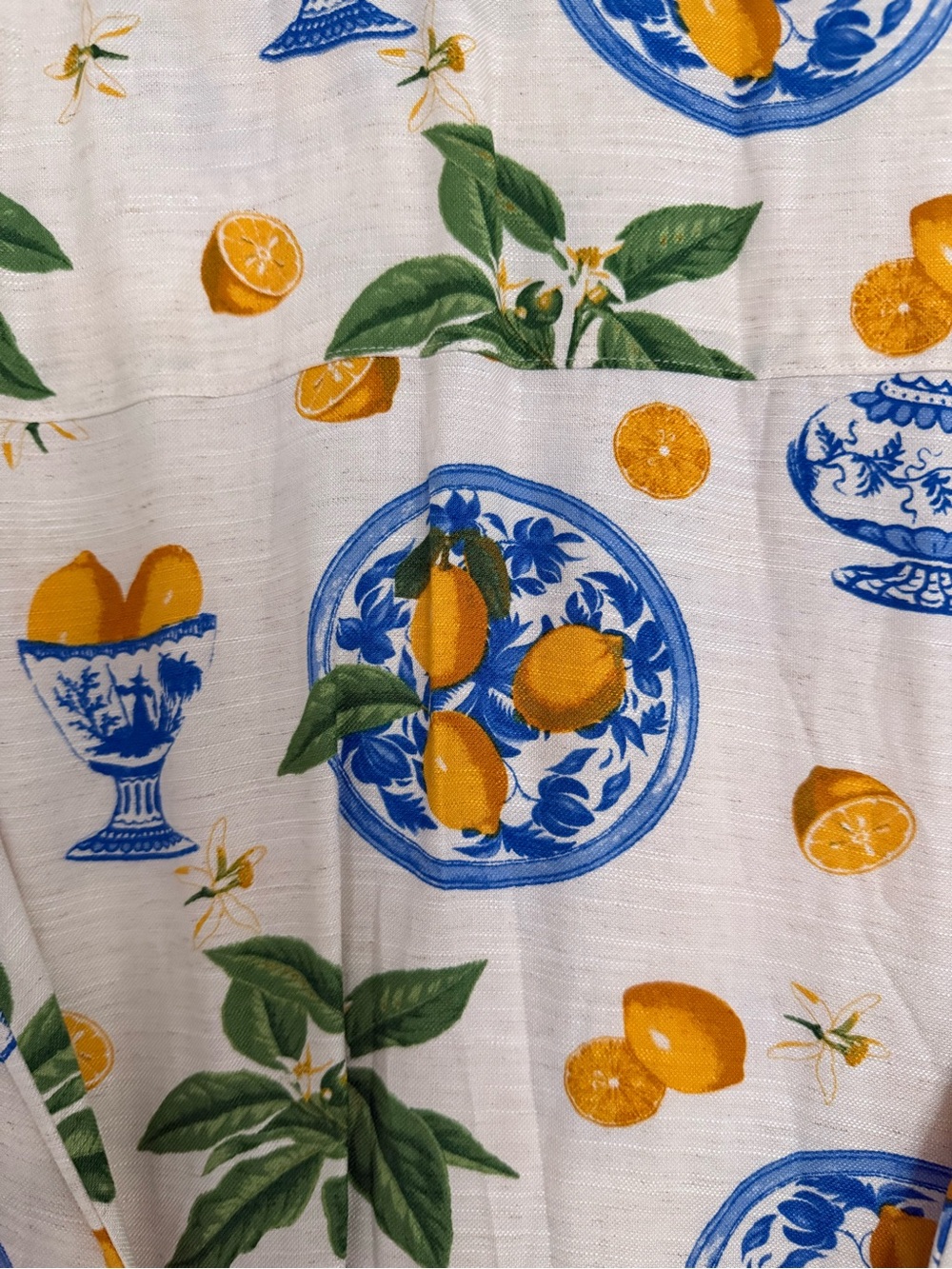 Linen Button-Front Maxi Dress with Citrus & Blue Urn Print - Picture 4 of 5